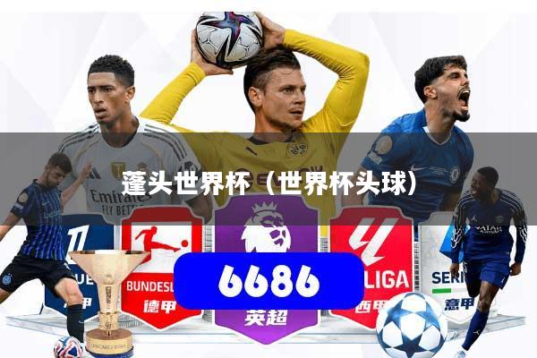 蓬头世界杯（世界杯头球）