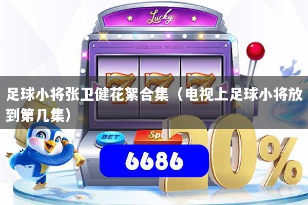 足球小将张卫健花絮合集(电视上足球小将放到第几集)