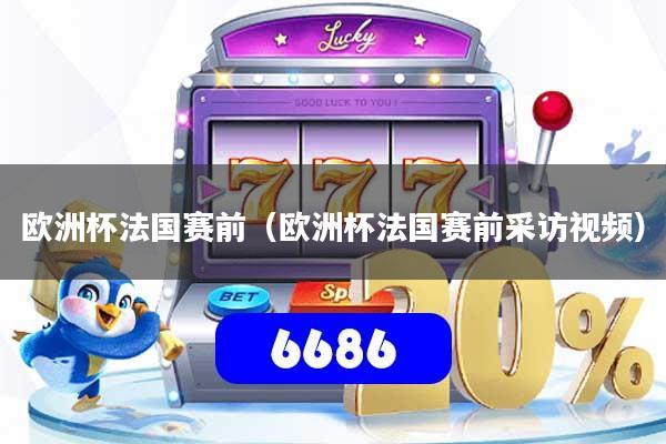 欧洲杯法国赛前（欧洲杯法国赛前采访视频）