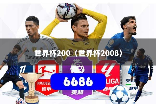 世界杯200（世界杯2008）